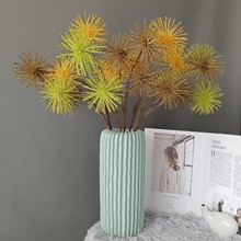 �����F�����ѹ�Ӣ���� �ҾӘӰ��g��c�OӋ�廨�b���؛Դ���l