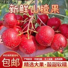 ���rɽ髹�ɽ����rɽ��r��ˮ��ɽ��t�Fɽ��Ǻ��Jɽ��r�����]