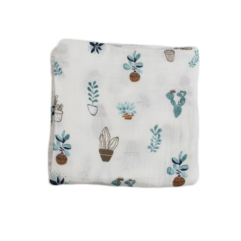 화분에 심은 식물