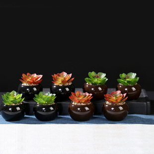 Chinese Retro Decorative Succulent Potted Plants Desktop Office Home Hotel Factory Direct Sales Small Flower Pots