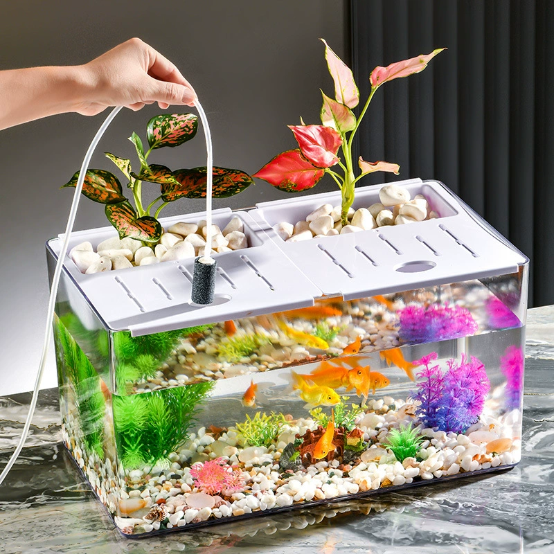 Микро-ландшафтный прозрачный горшок с черепахами на кондросе офисный декоративный аквариум с золотыми рыбками прямоугольный рабочий стол экологический ландшафтный аквариум