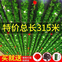 ����b��ڳ������~��������p�@�G�~�b��~�Gֲ��ٻ���