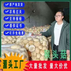 其他干货;银耳;猴头菇