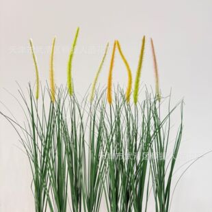 ����Gֲ�J���ݹ�β����횲ݱ��������쾰�׾G��c�b����滨