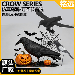 �羳�f�}��������f�w�B���C�T�D�@����B�b�Ʒ��������ϴ��