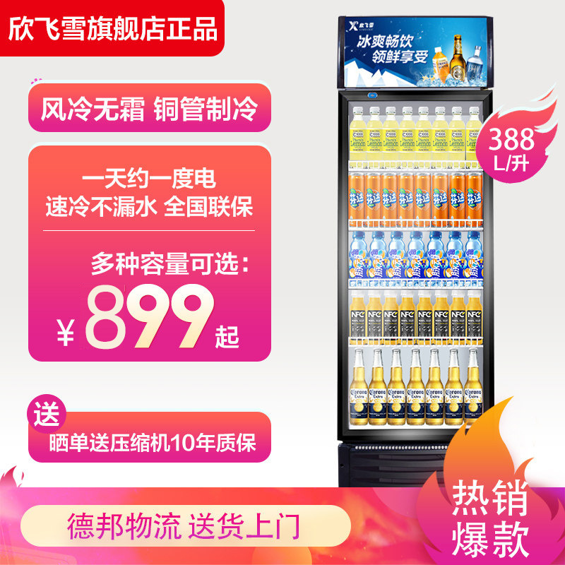 Snow Display cabinet Freezer commercial Fresh keeping Single Beverage Cooler vertical Double door Beer Freezer Refrigerator