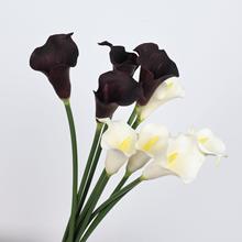 Rɏ滨puָмҾӾƵbc廨յ߼ٻ