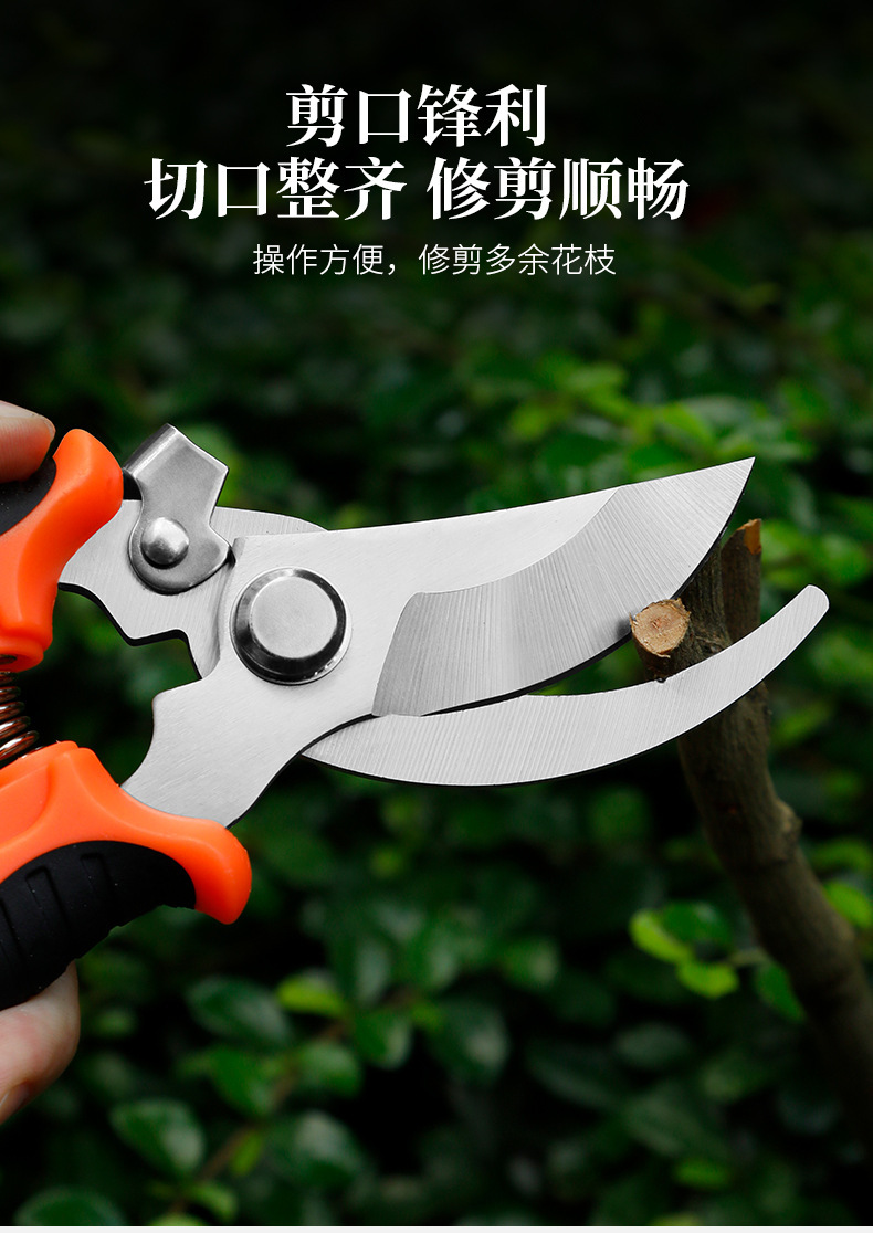 农业园艺剪刀不锈钢修枝剪多功能园林粗枝剪工具剪枝摘果省力修剪-阿里巴巴