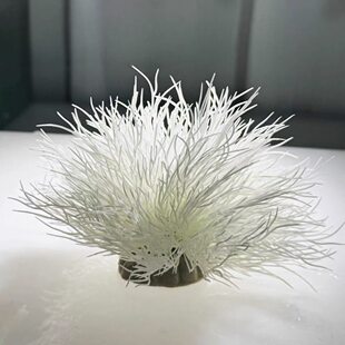 �~���쾰�b�ˮ����[��ˮ�ݲ���ˮ�ݰ��ɺ��