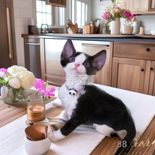 ����؈��؈���w��ż؈���̻�؈�{�����Ɓ��Lë؈��؈��؈����