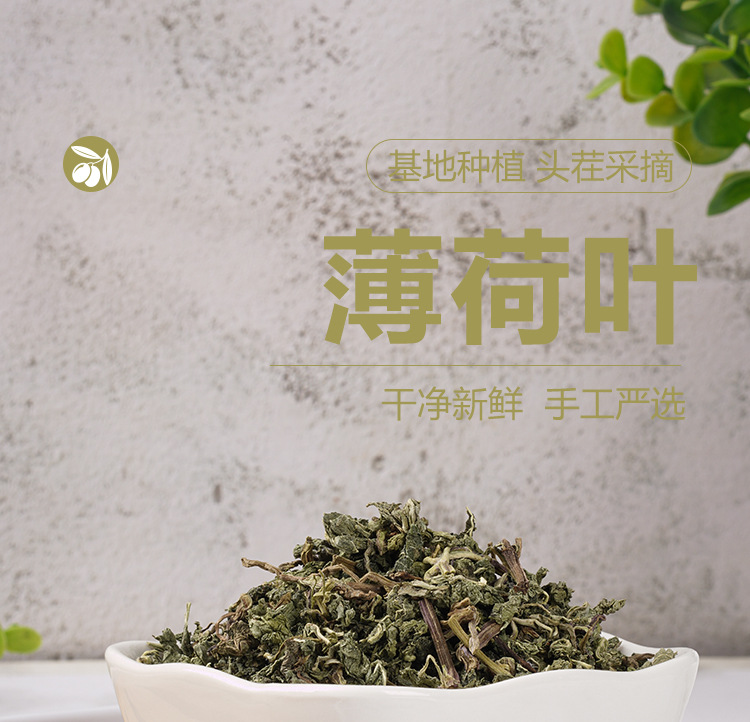 Mint Leaf Tea (Mentha haplocalyx) — Dried Mint Herbal Tea, 75g Jar for Cold Brew & Fresh Infusions quality and texture