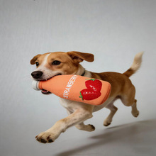 β�͓u�u ����������z��֭ƿ�������ĥ������BB�l���␞���