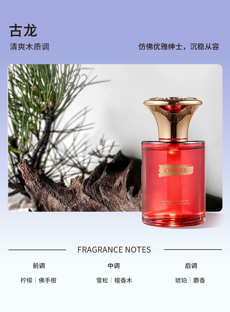 Source Manufacturer of Car Fragrance, High-End Aromatherapy, Air Freshener for Car Interior, Eliminates Odors, Supports Oem/Odm