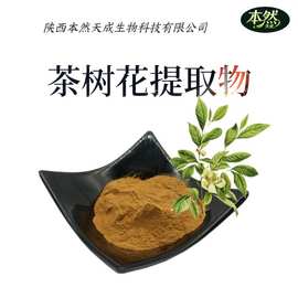 茶树花提取物50:1新资源食品水溶性茶树花粉现货茶树花浓缩粉批发