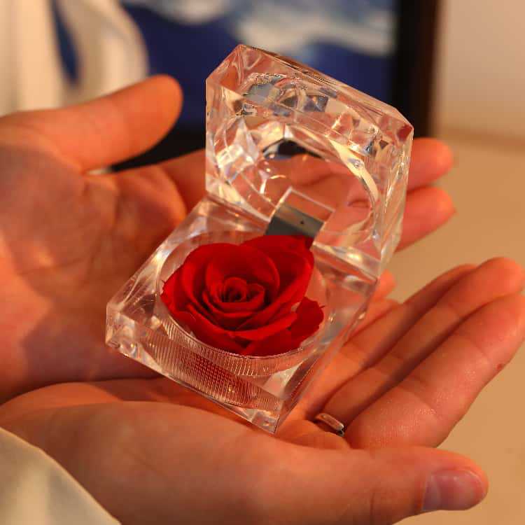 永生花戒指盒亚克力玫瑰花七夕节小礼品表白送妻子生日花