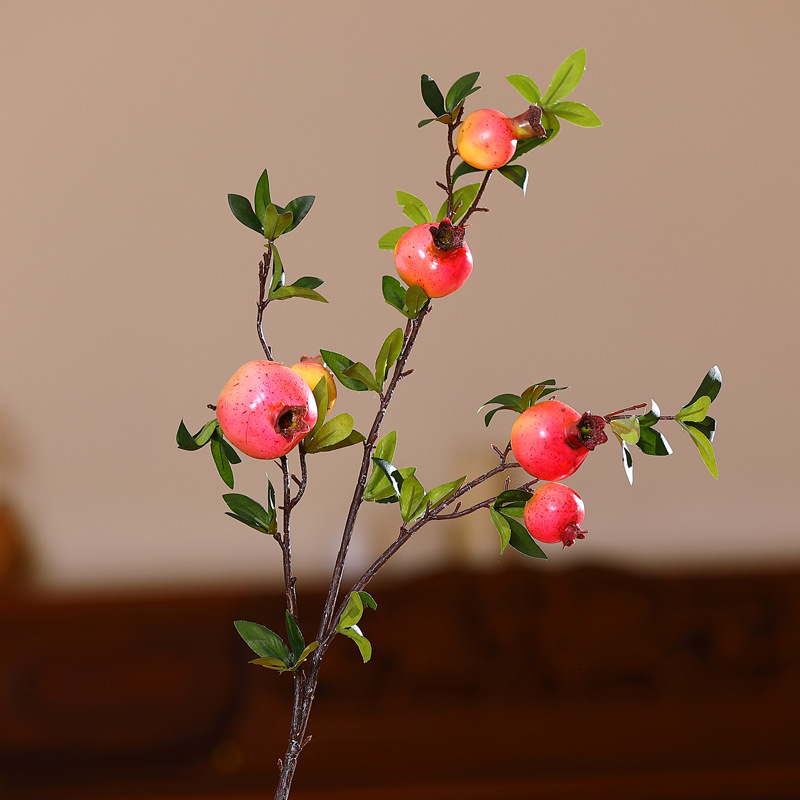 6 중간 가지 로즈 레드