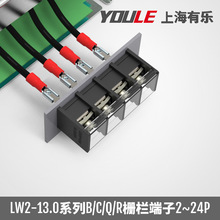 �h���ř�ʽ�Ӿ����ӎ��w�И�LW2�Դ�x������늾��B������������