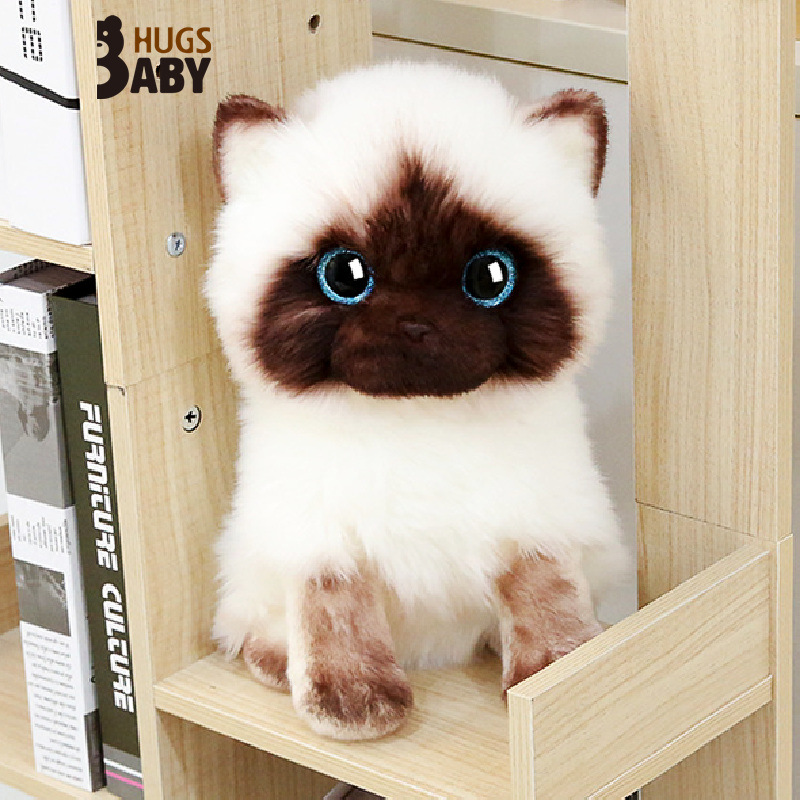 Abrazo bebé lindo gato muñeca Linda simulación Siamés Gato de peluche de juguete decoración femenina al por mayor