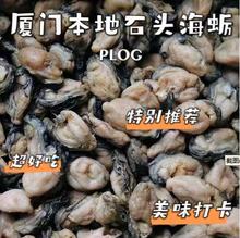 厦门特产石头海蛎干生蚝干牡蛎干货自晒不抽油手剥海蛎子500g批发