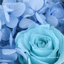�滨�������ɻ����ֹ��������b�ɻ������F��Ϟ�Tʯ����ϰ�