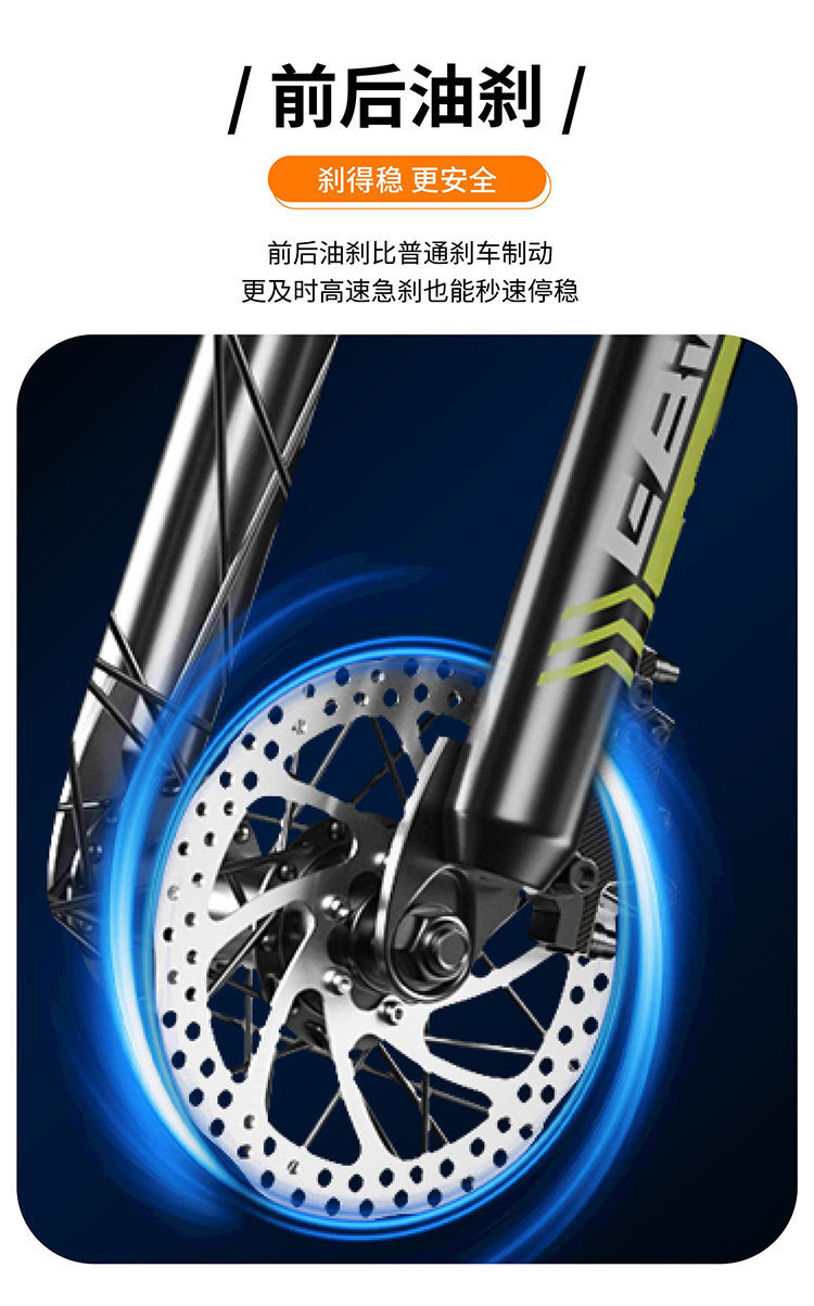20-inch Fat Tire C93 Dual Drive E-Bike Mountain Off-Road Commuter
