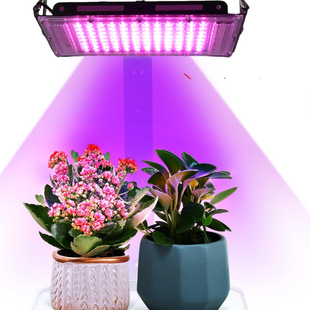 Foldable Full Spectrum Led Plant Growth Light USB Powered Suitable for Indoor Plant Seedling Greenhouse Fill Light