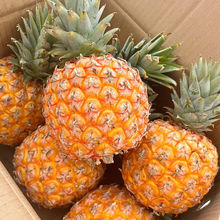 ����̨ũ23��â����������֭���ʲ��ܷ������ش�����������