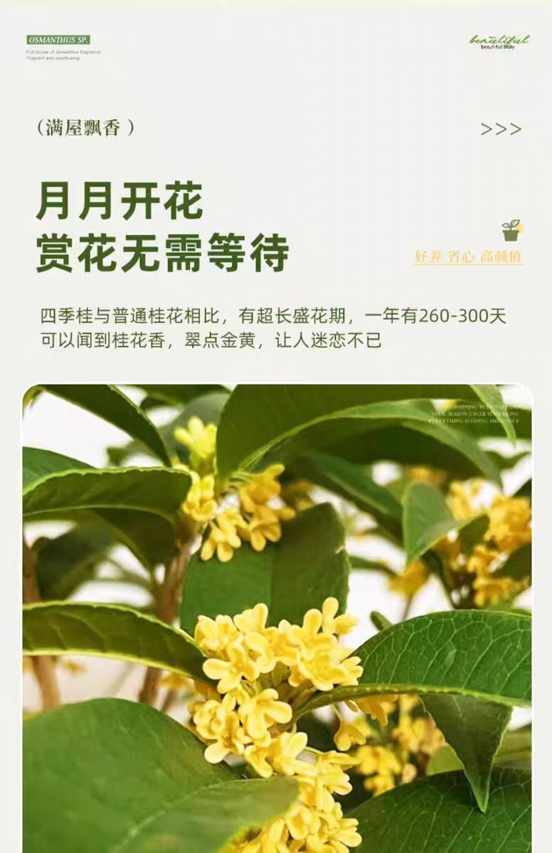 8515feb1-4873-471c-b11a-8be7b449bddc.jpe