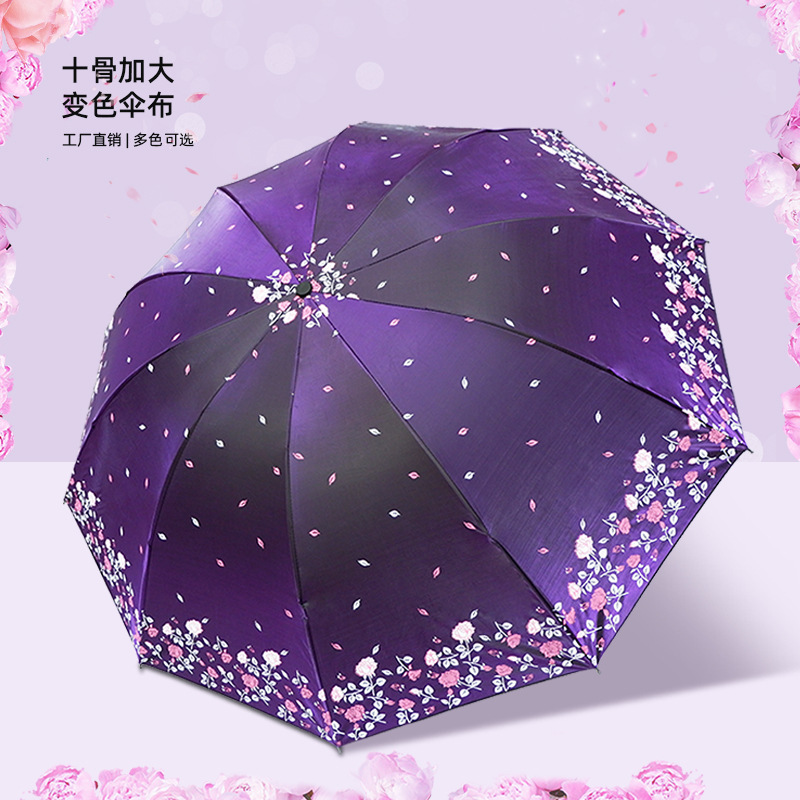 Chameleon Ten-Bone Double Large Sunshade Umbrella for Sun and Rain Protection, Thickened Black Coating, Uv Protection Chameleon Ten-Bone Double Large Sunshade Umbrella for Sun and Rain Protection, Thickened Black Coating, Uv Protection