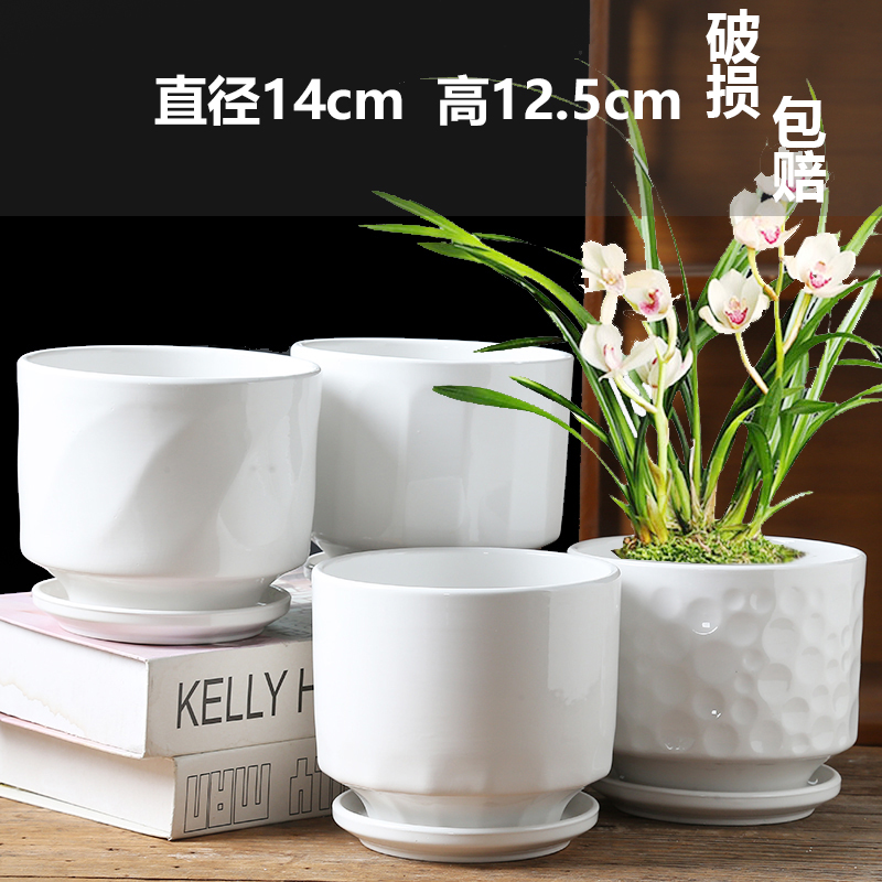 네 개의 중간 크기의 백설 공주가 날아갑니다.