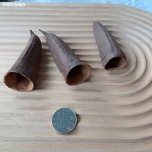 �����ט˱�ֲ������Ĕz���߸ɹ��쾰�M�ڶU���b[������ɘ�֦