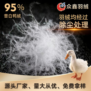 ����95�հ����q ˮϴ���ɇ��˼�����q��Ʒ�|21��95�����q���l