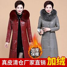 ������Ƥë�I�����������Ů�������Ӻ�2025��a�L����Ƥ��q��Ů