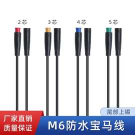 批发M6防水宝马线IP65电动车智能马桶水龙头m6防水插头电源连接线