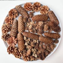 微景观松塔松果干花圣诞装饰幼儿园装饰源头厂家包邮工厂批发直销