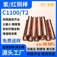 T2���~�� �t�~�� C1100���~ ����~�� �������~�A��