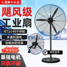 ���I�u�^��L�ȏ����������ţ���ȴ��L�����ʽ����ȩ���S����