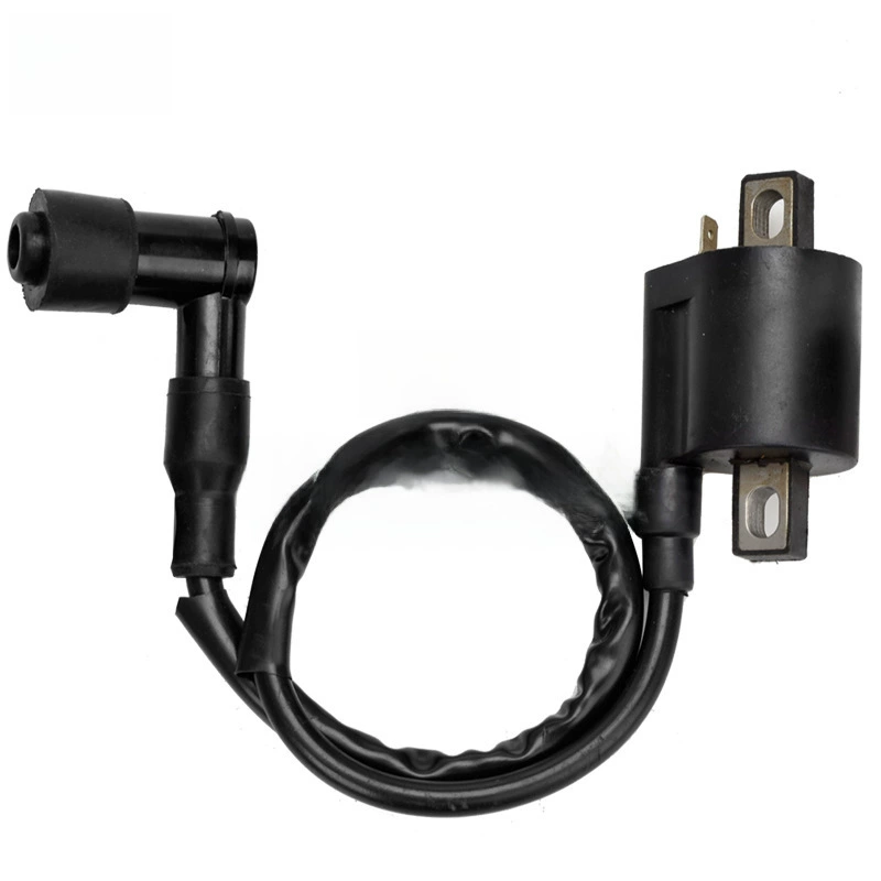 ATV пляжные карты - Китай Мотоциклы CG125 150 200 250cc катушка зажигания высокий напряжение сумка