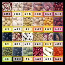 ���x�������b23�N�������s�Z�M���s���ּZ�ڰ�ܿ���ⶹ���춹