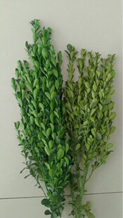 ��������С�~�S�diy���� ����ˇ�g�廨 ��������Ʒ���