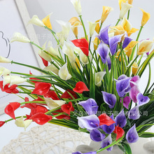 滨Rɏ ƵҾbcF zӰ ߙnٻ