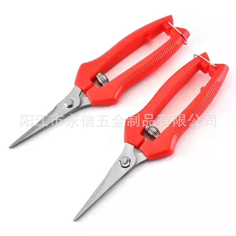 火龙果剪尖咀摘果剪葡萄小剪刀树枝嫩牙剪修花剪柿子剪疏果剪刀