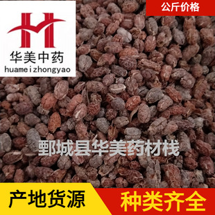 ɰ����1000�� �A����ș ��ș�����l�F؛���� ȥƤɰ���� ��؛