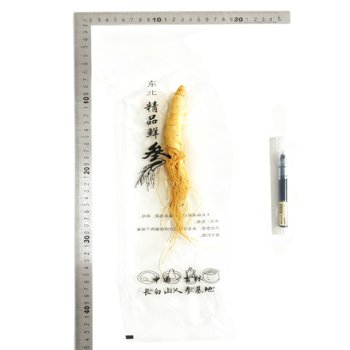 【鮮人参】長白山人参卸売メーカー直販 東北特産新鮮人参 酒漬け人参 生人参