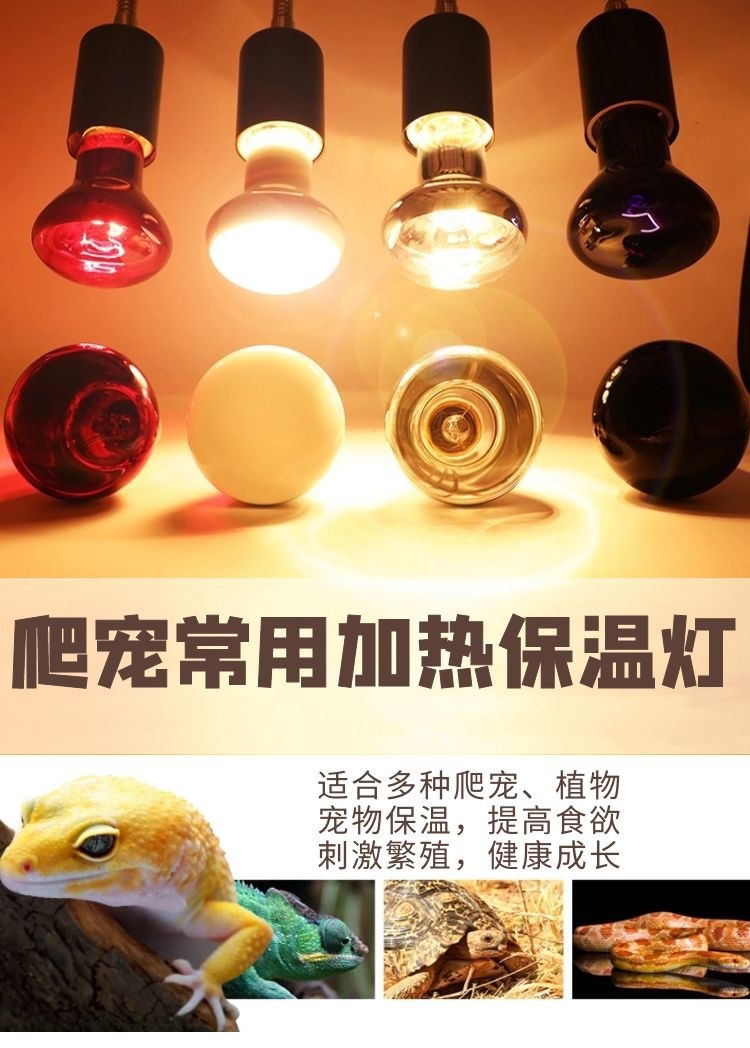 详情1.jpg
