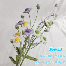 �羳����ë���������^�r�ջ����F؛�߼��в廨�����Y����������