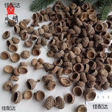 橡子壳 橡帽 橡果 橡碗手工制作 家居装饰装点拍摄