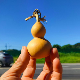Factory Direct Supply of Natural Gourds for Hand-Twisting, Mini Gourds for Hand-Twisting, Natural Gourds with Taps for Wholesale