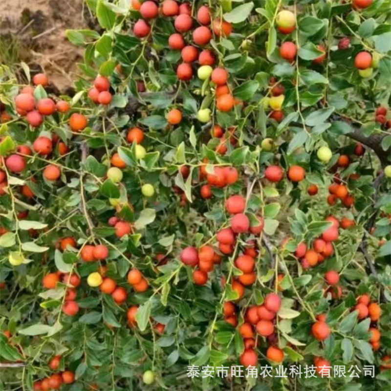 413a3cdb7274e58b3c60ccc5e01acf