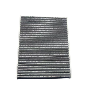Conditioning Filter AV6N-19G244-AA, Air conditioning filter